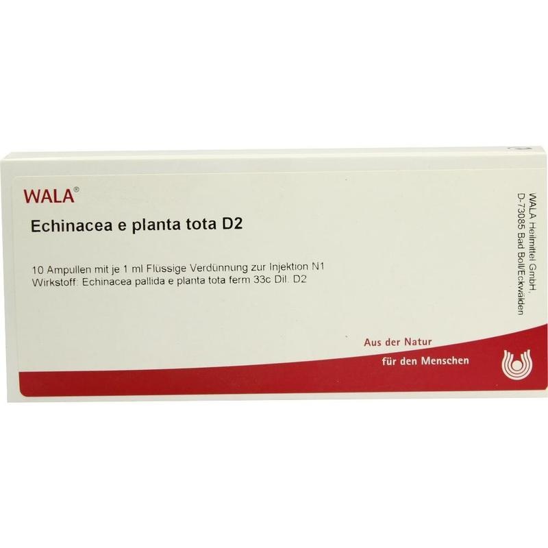 ECHINACEA E planta tota D 2 Ampullen